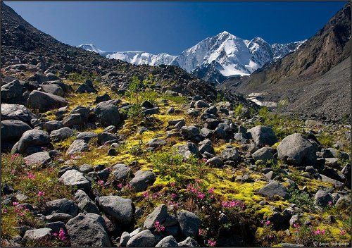 Цветущими тропами