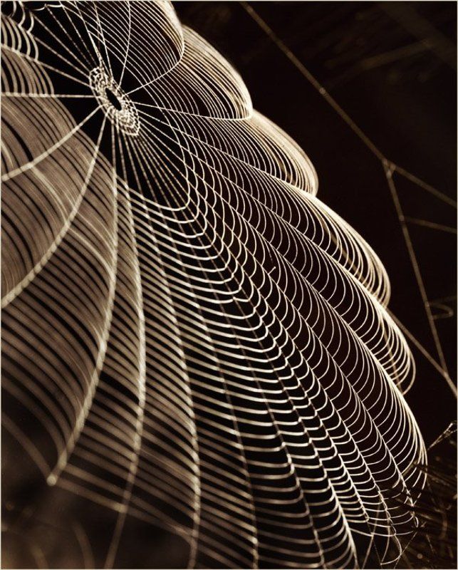 Паруса фото превью