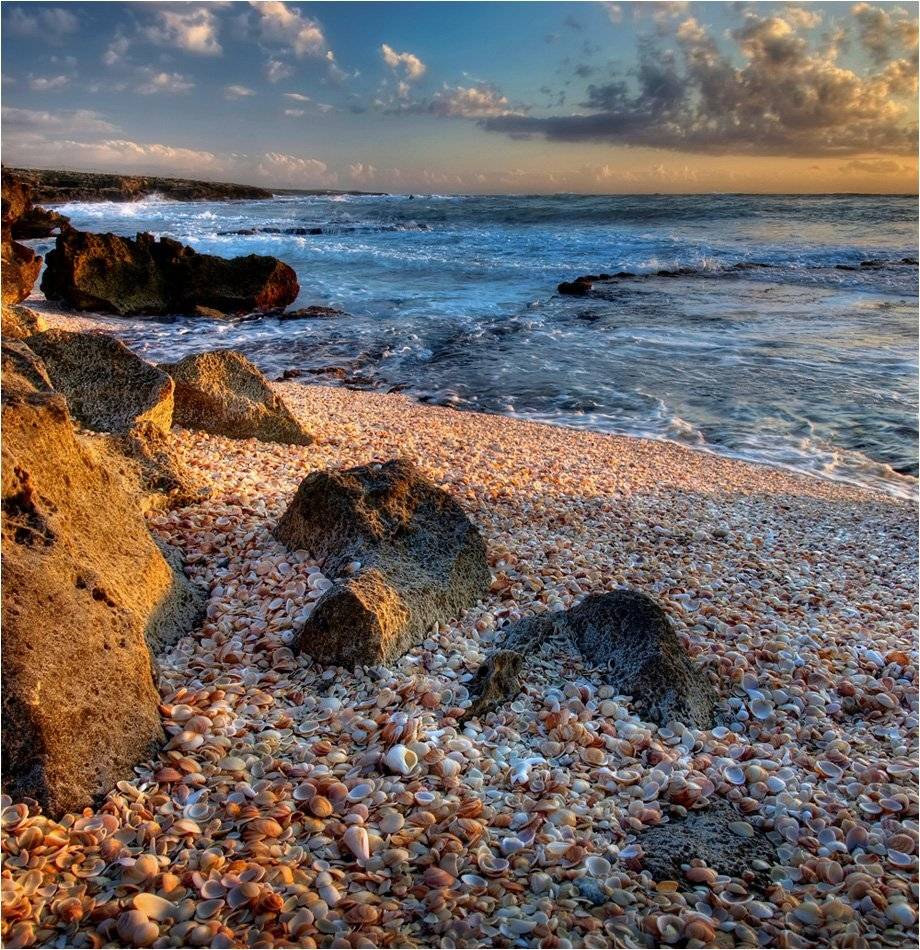 , Александр Беляев