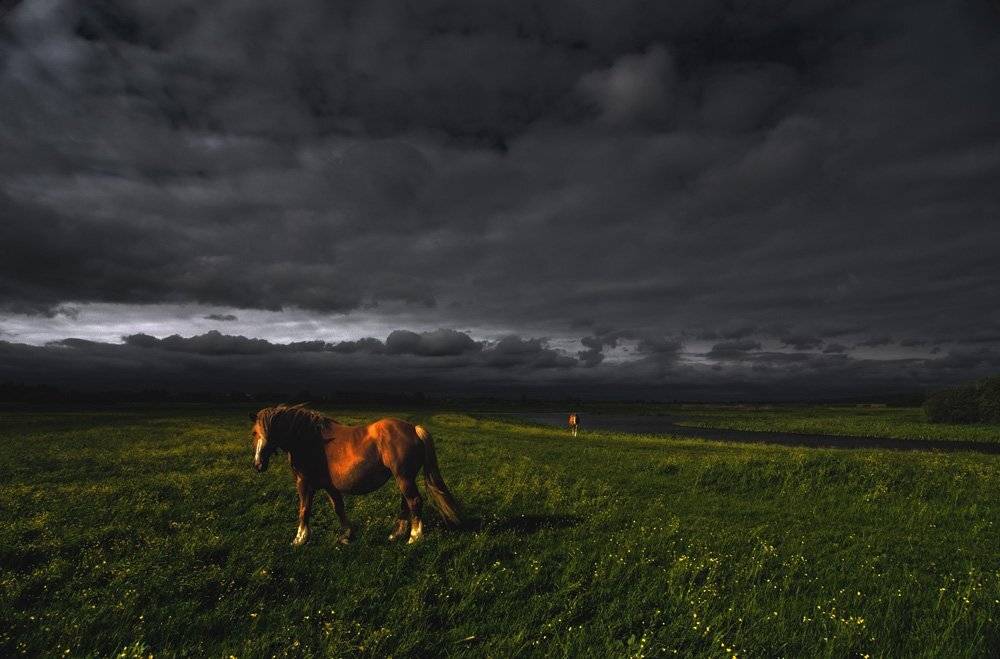 , Александр Титаренко
