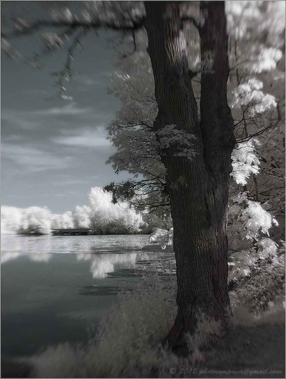 пейзаж, pilgrim, инфракрасный, infrared, Pilgrim