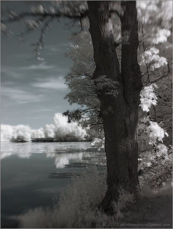 пейзаж, pilgrim, инфракрасный, infrared It\'s comming... фото превью