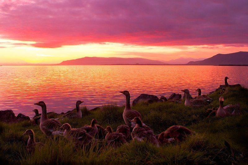 , Valentinas Pecininas