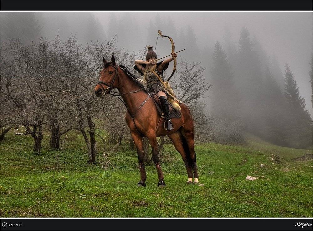 лошадь, наездница, воин., Silfida