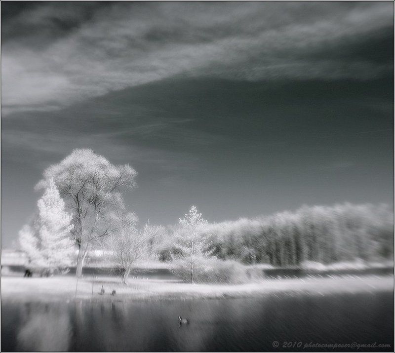 пейзаж, pilgrim, инфракрасный, infrared White, soft and warm... фото превью