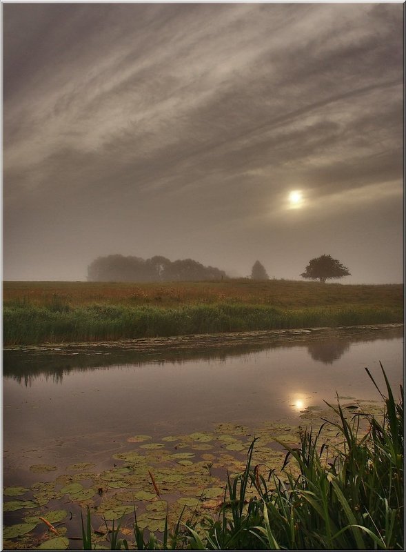 ...i skrilsja rasvet za tumanom sirim... фото превью