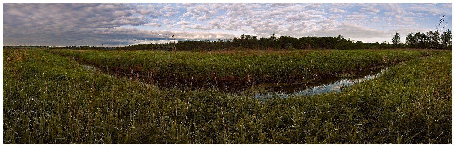 природа, пейзаж, утро, небо, трава, лес, реку, Oleg Dmitriev