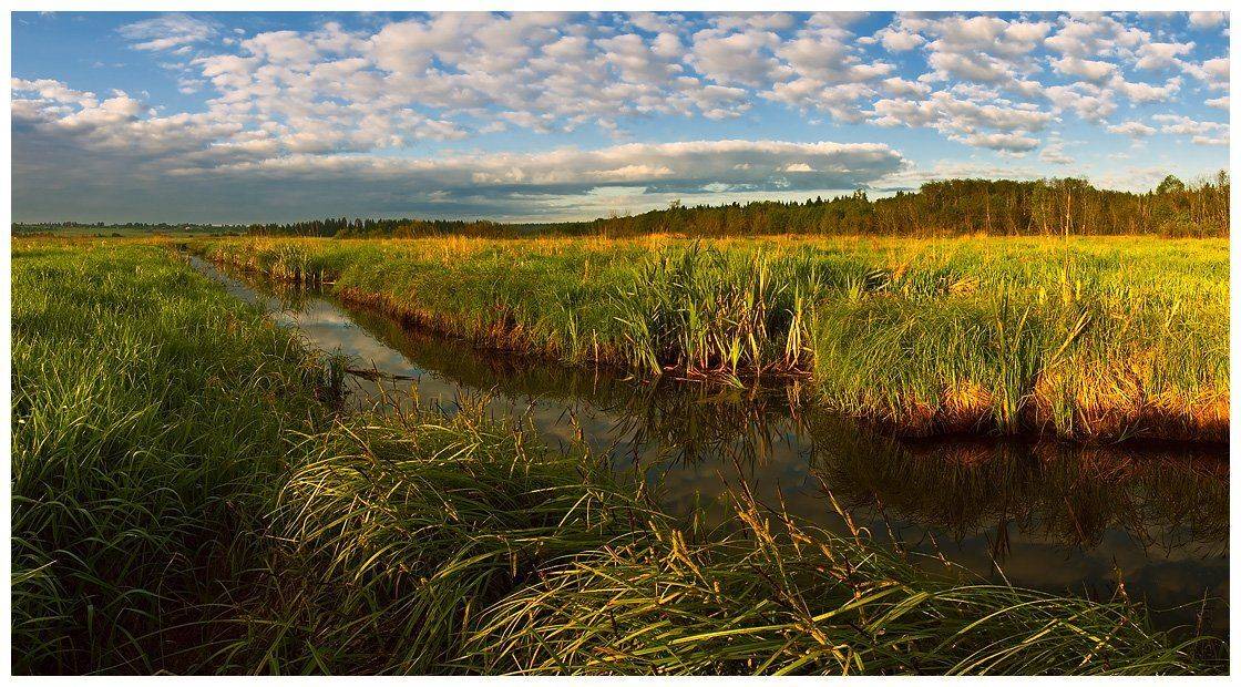 природа, пейзаж, утро, небо, трава, лес, река, Oleg Dmitriev