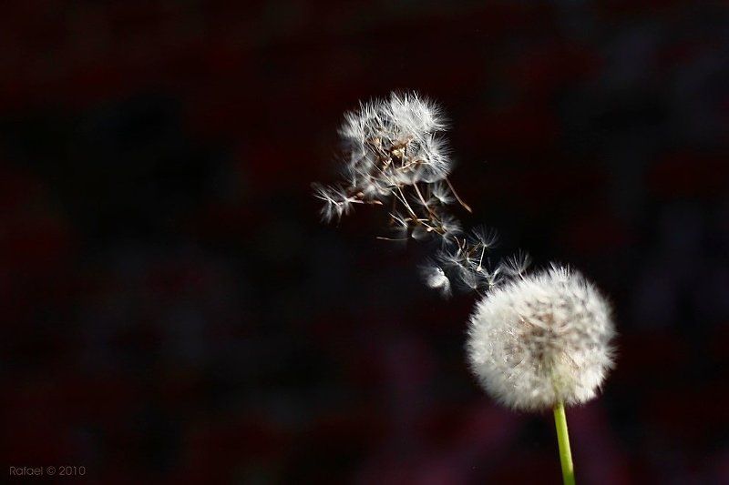 Вспышка на Солнце фото превью