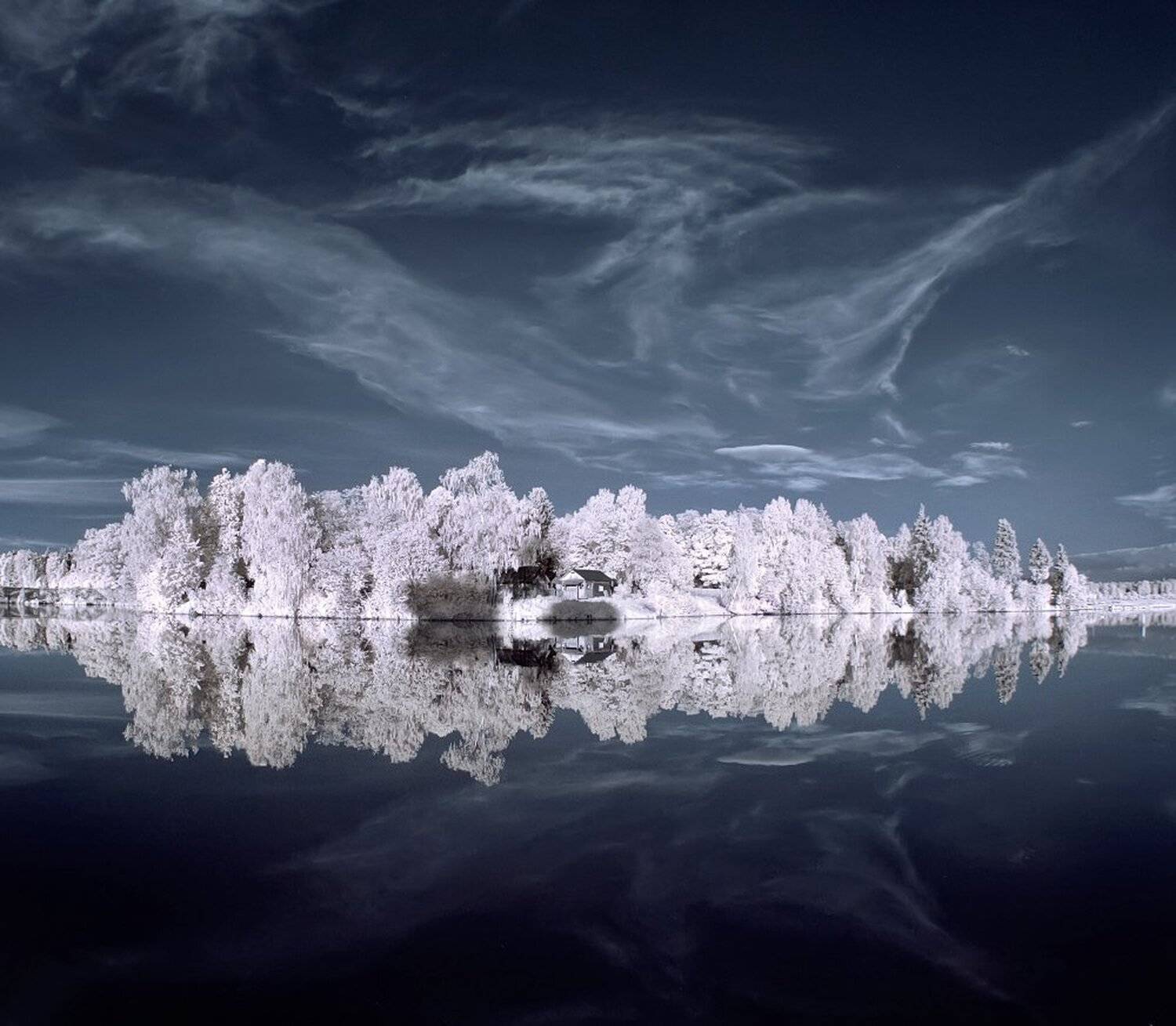 , Максим Евдокимов