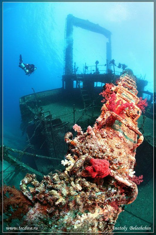 wreck, giannis, d, shaab, abu, nuhas, side, mount, seacam *Giannis D* или *Как умирают корабли* фото превью