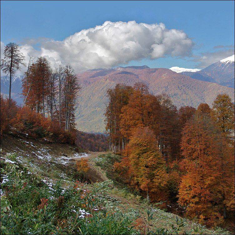 горы, Тарасов Алексей