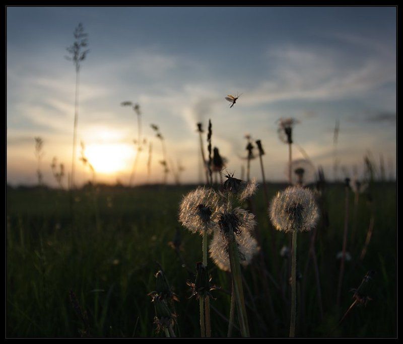 День уходящий фото превью