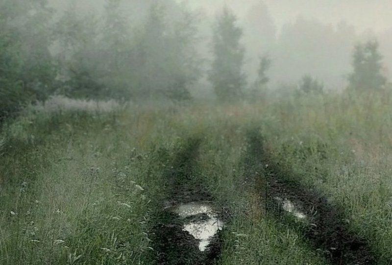Ночные туманы уйти не спешат... фото превью