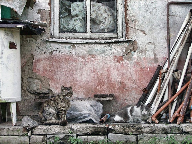 Интерьер фото превью