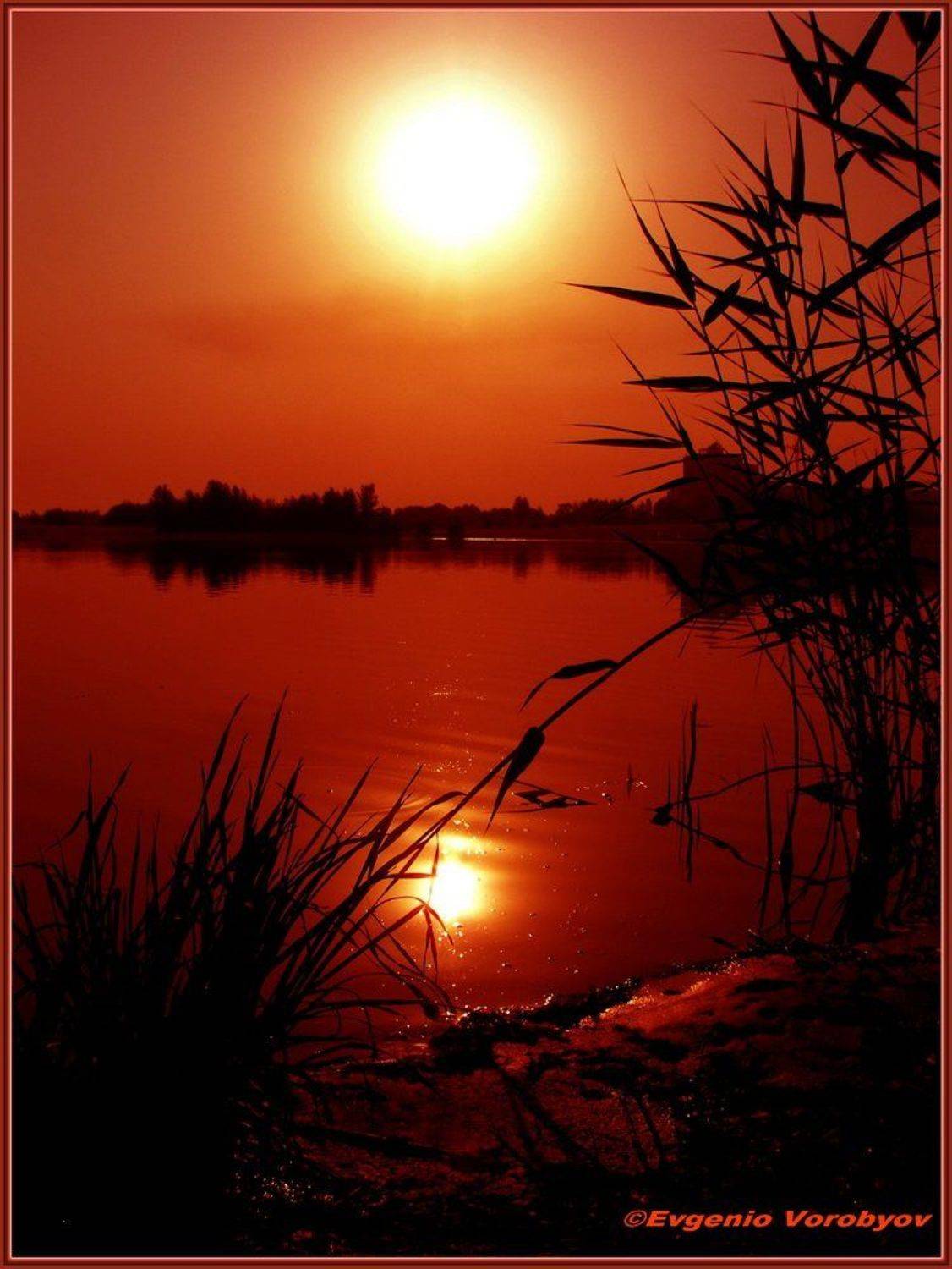 речка, восход, Evgeniy Vorobyov