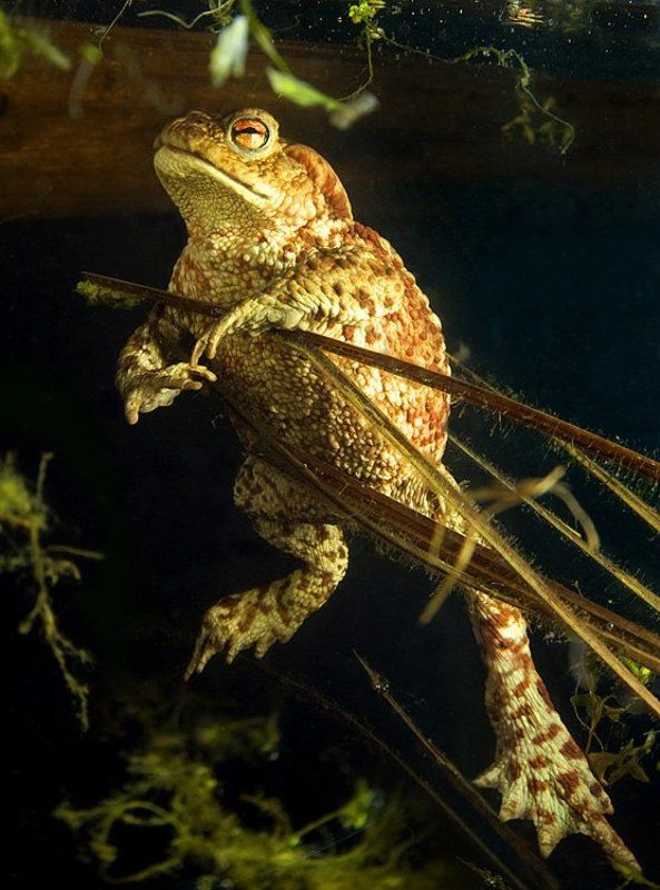 Автопортрет в антураже фото превью