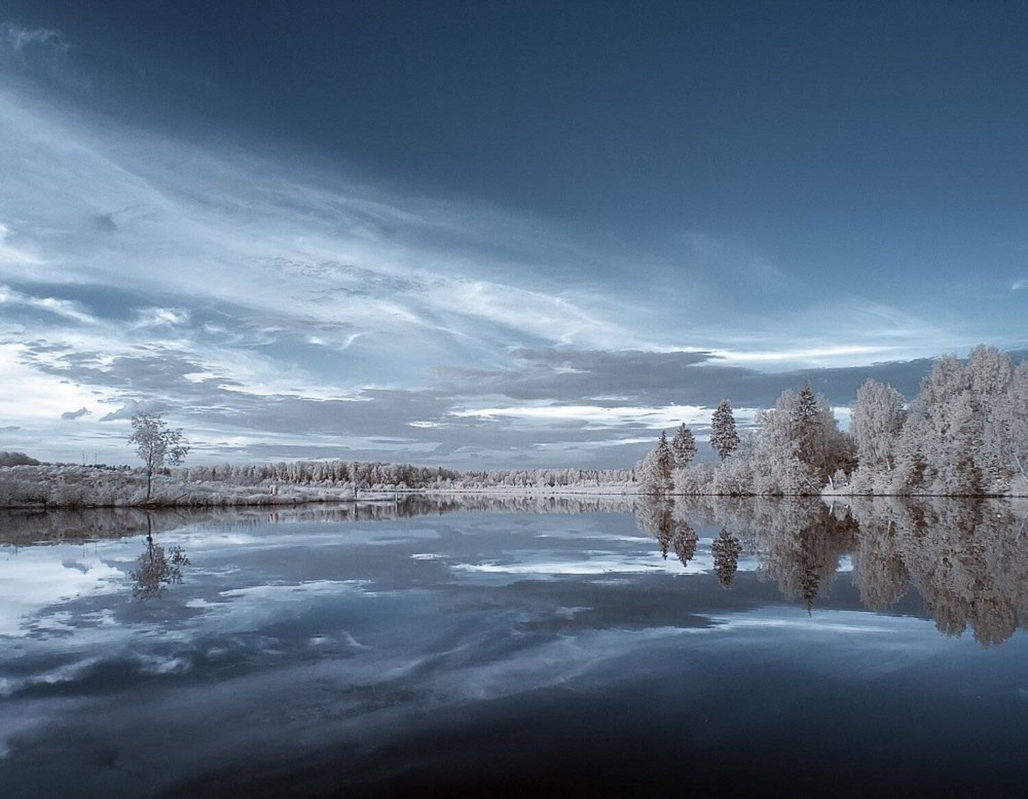 , Максим Евдокимов