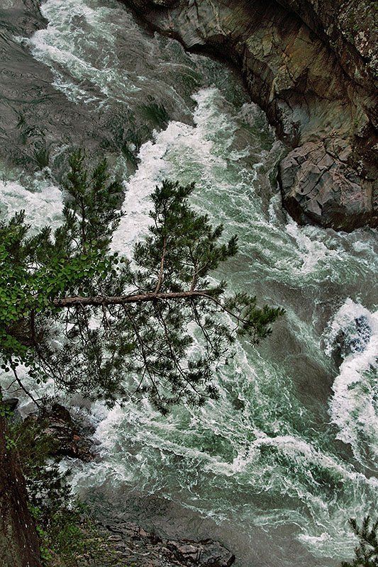 *** фото превью