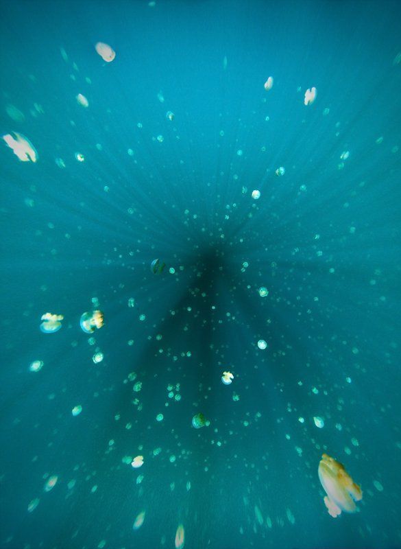 циркуляр, луч, медуза Млечный Путь фото превью