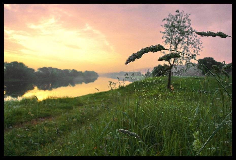 лето, утро, рассвет, паутина, днепр, туман, Kopychko Mihail