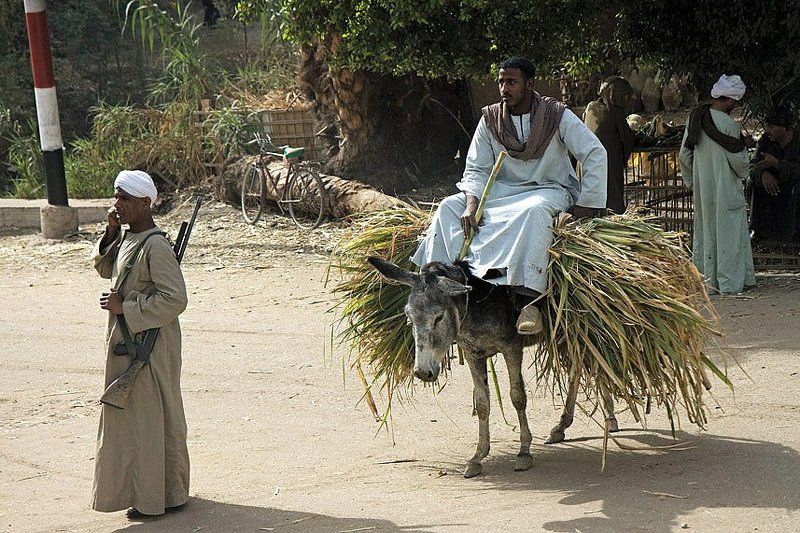 египет,люди,автомат,жизнь,урожай,охрана,микус Египет.жизнь без ретуши. фото превью