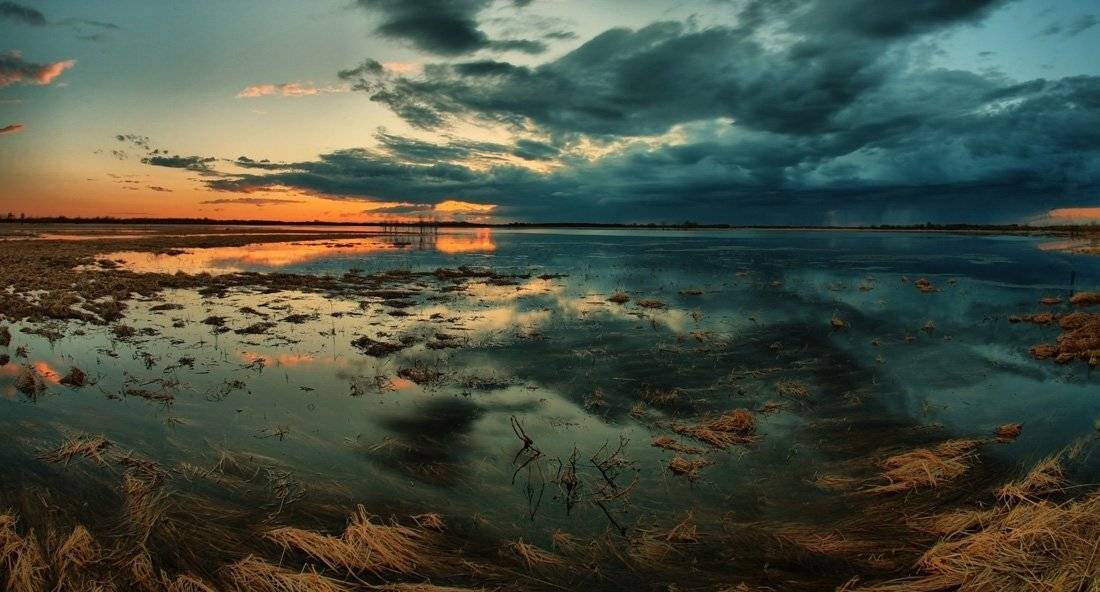 белая ночь, югра, optimist