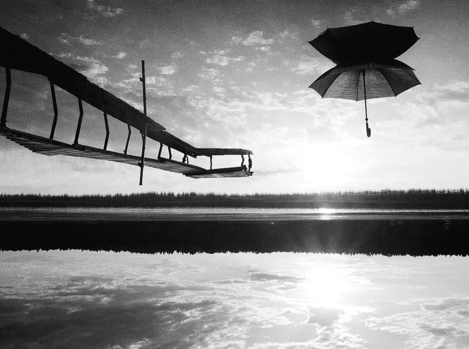 , Максим Евдокимов