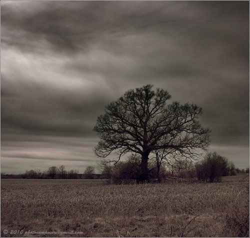 The cold night of spring...