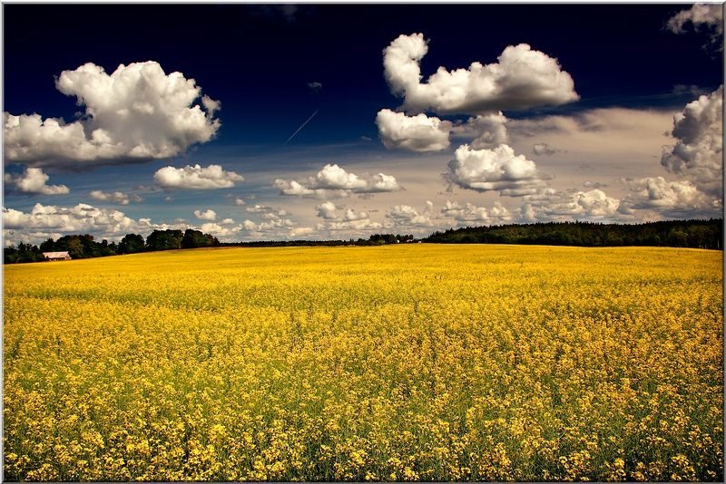 oblaka nad BIO polem... фото превью