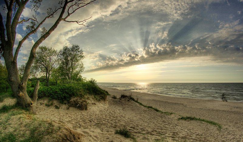 *** фото превью