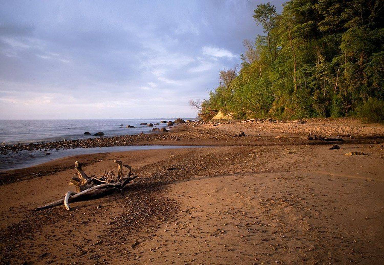 , Игорь Вишняков