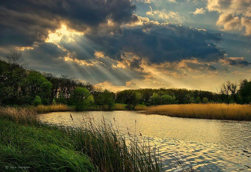 Перед грозой фото превью