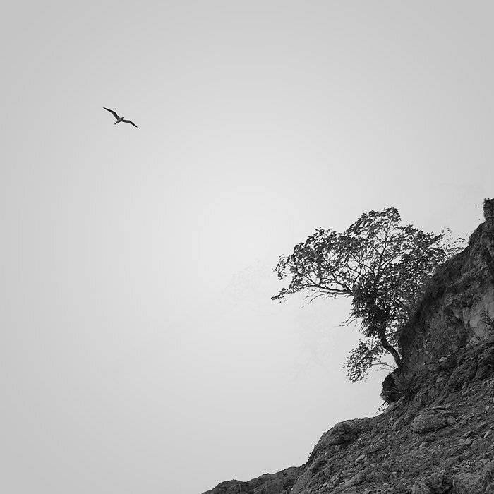 , Юлия Нечепуренко