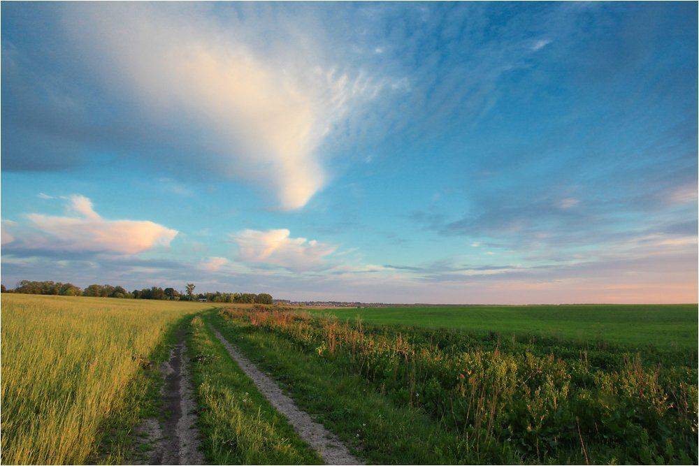 куркино, деревня, закат, Александр Мартынов