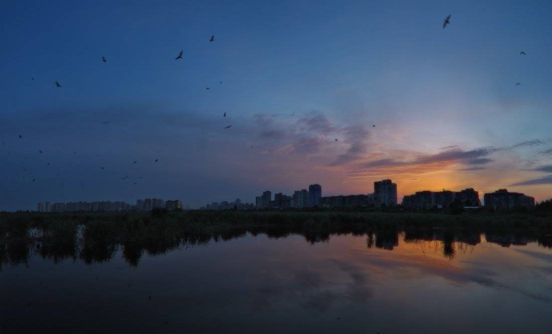 , Михаил Мочалов