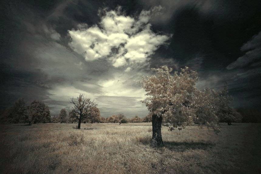 , Эдуард VTORNIK  Николаев