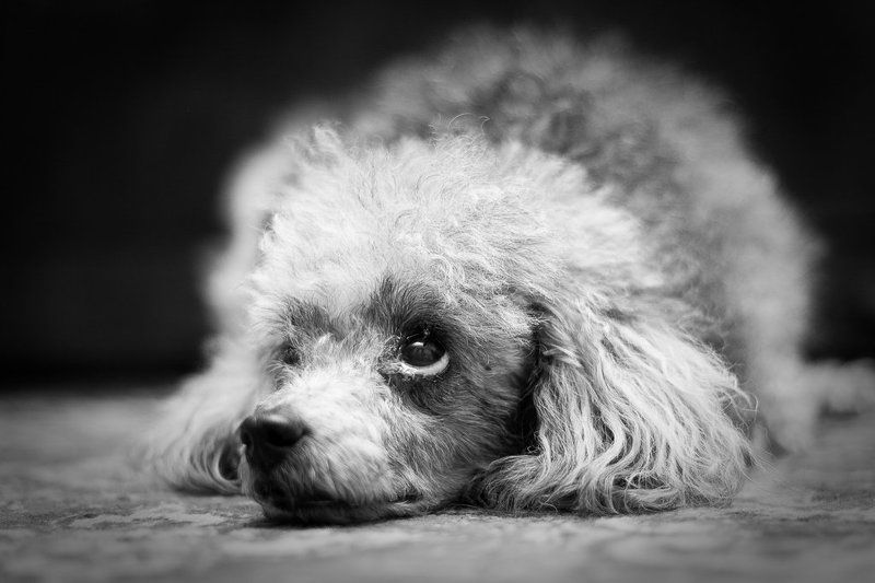 про взгляд... фото превью