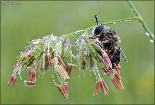 Мокро, холодно...