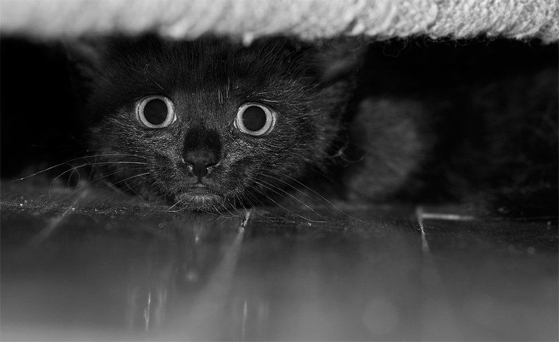 малыш фото превью