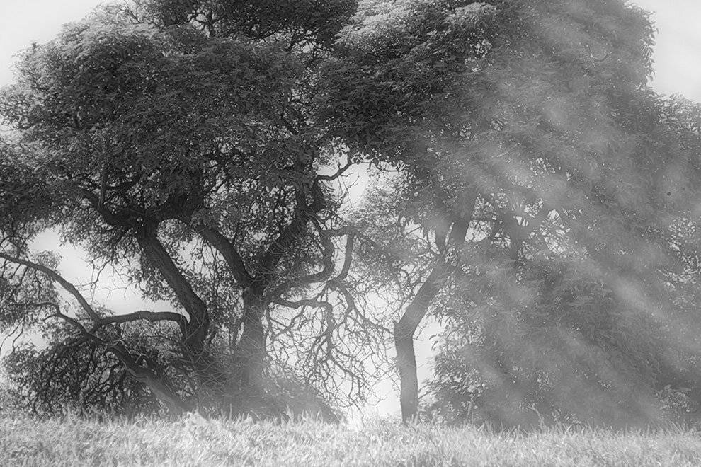 , Рафаэль Александрович Фоменко