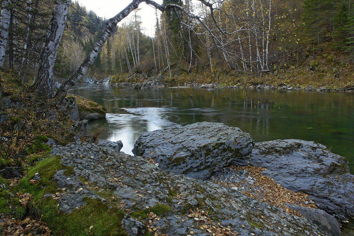 горный, алтай, река, утро, Наталья Кайзер