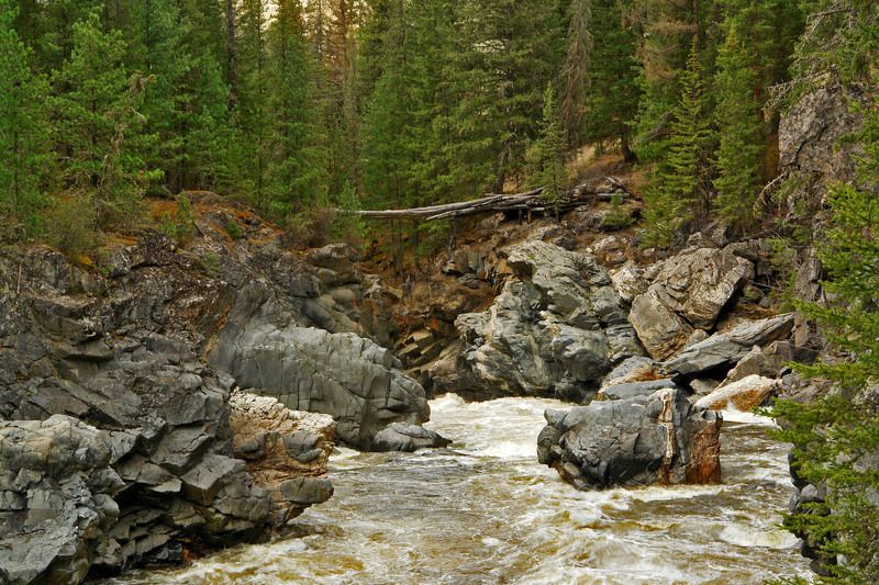 горный, алтай, горы, река \