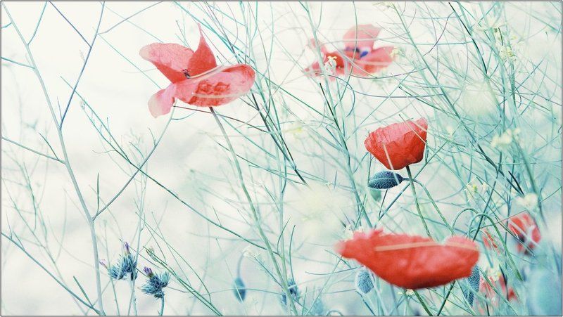 крым - фото превью