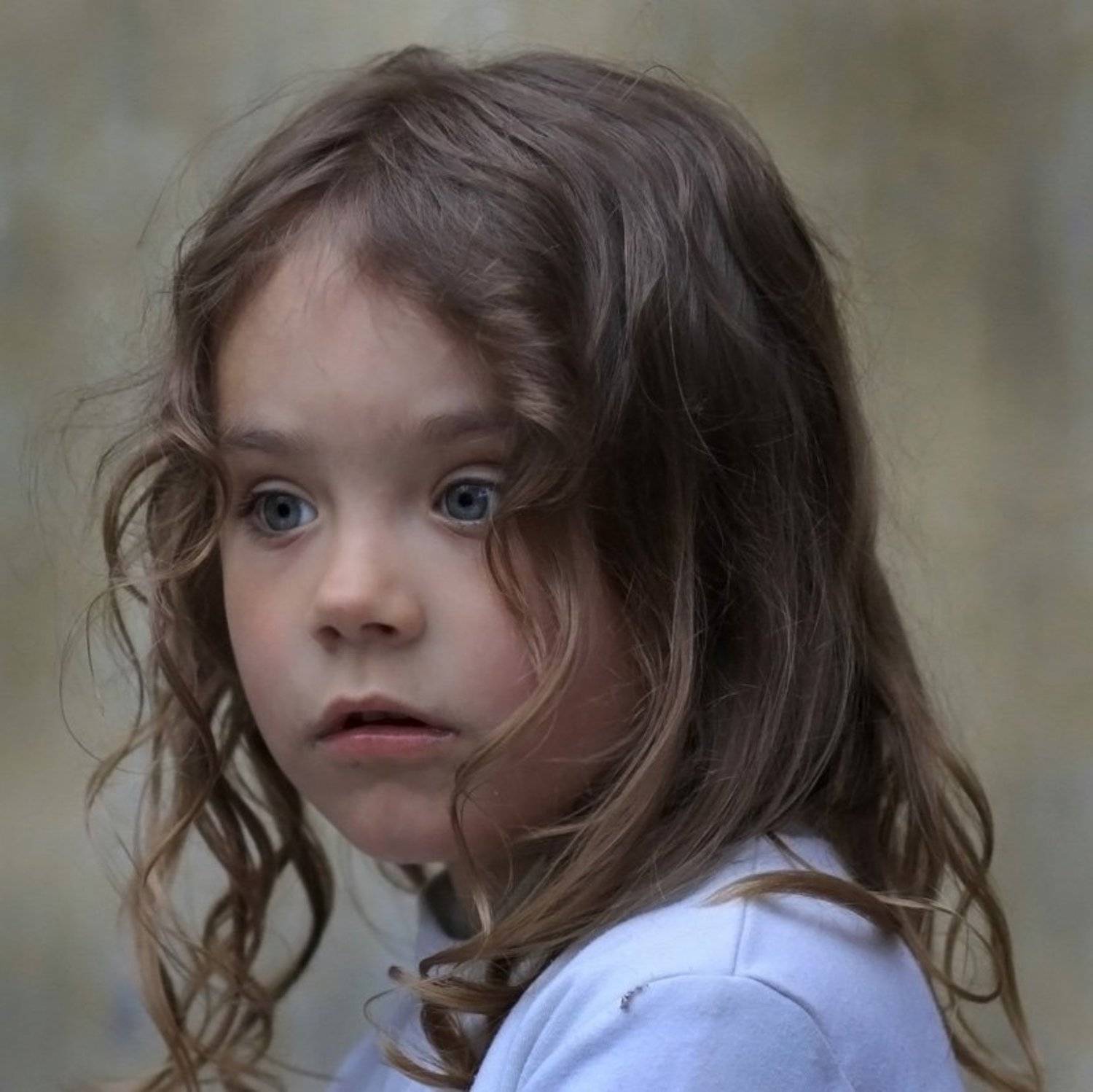 , Василий Черкасский