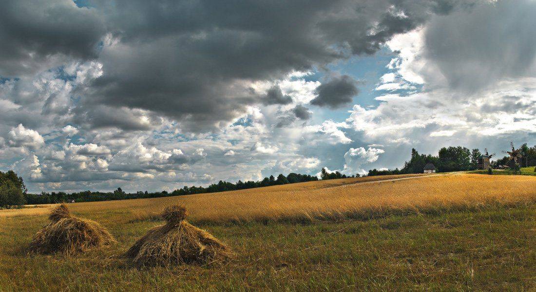 , Михаил Мочалов