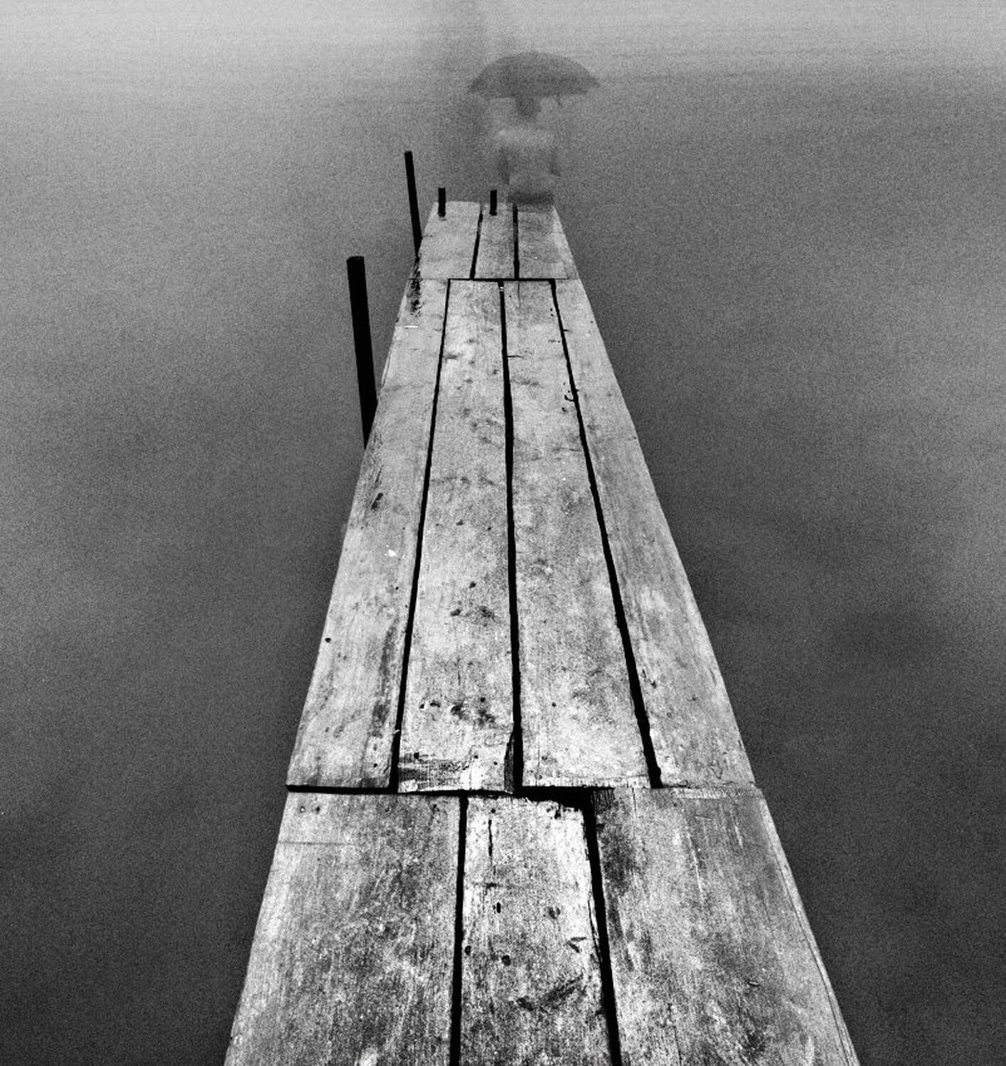 , Максим Евдокимов