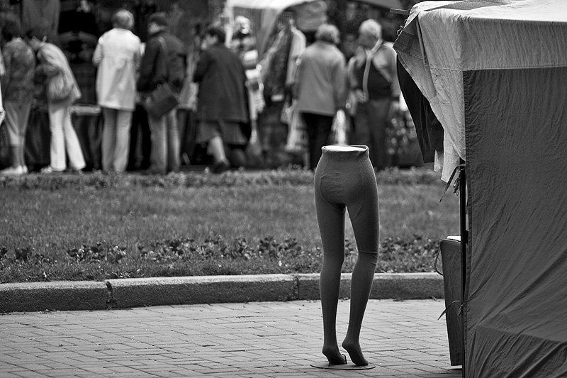 А где твоя вторая половинка ? фото превью