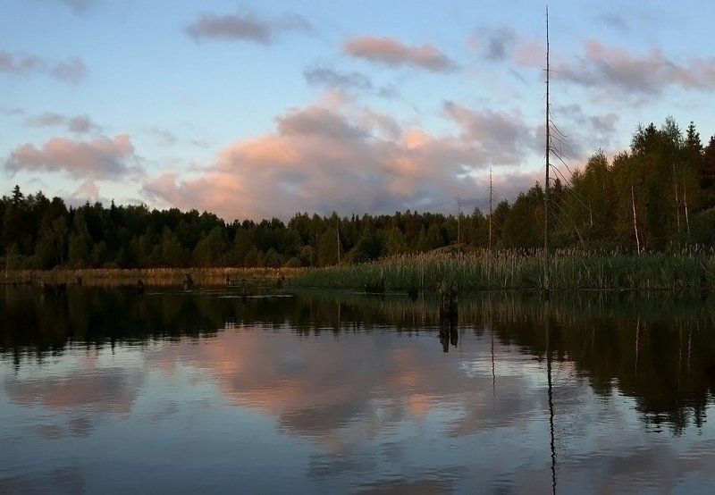 Раннее  утро, плыву на лодке, красота вокруг... фото превью