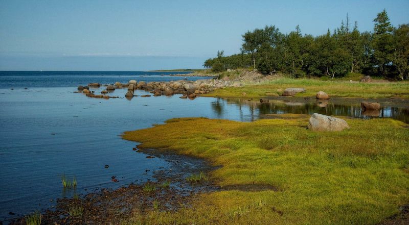 белое море, соловки, камни Беломорский пейзаж со спящим львом фото превью